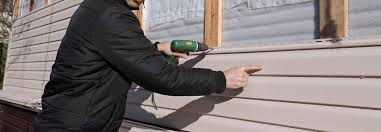 Best Residential Vinyl Siding Installation  in Belgium, WI